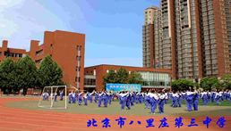 日坛中学实验学校,八里庄三中联合 研修活动案例