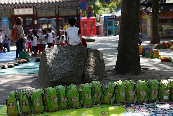 韩国小学生的一堂户外活动课